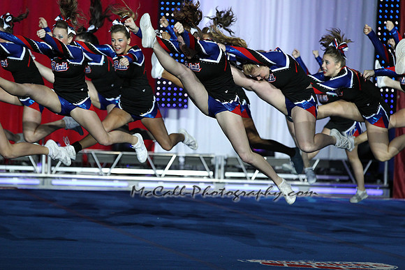 Honor019