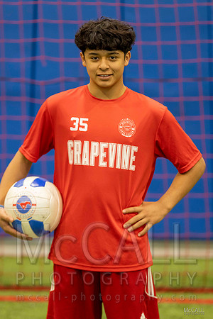 MCPH6249