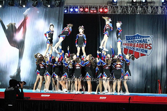 MCPH1239