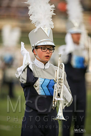 MCPH0352