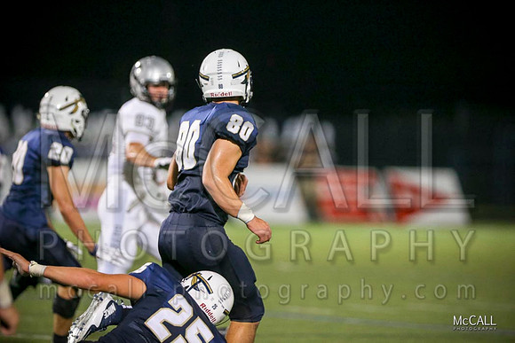 MCPH1001