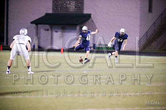 MCPH1136