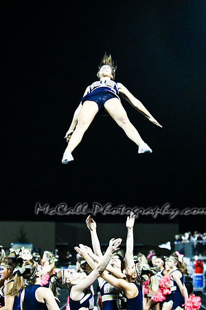 MCPH1344