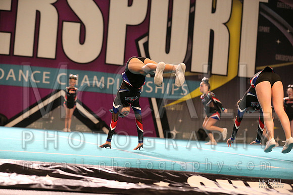 MCPH2009