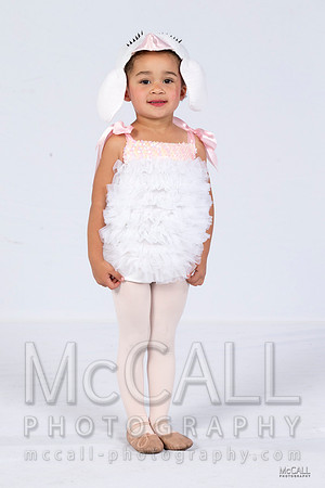 MCPH0041