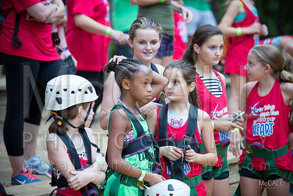 MCPH3390