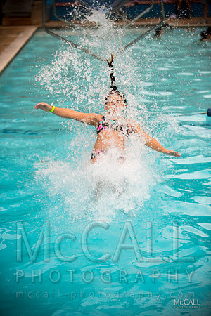 MCPH3494