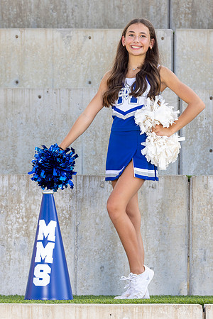 MCPH8595-2