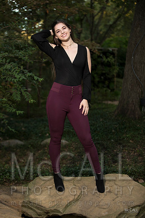 MCPH4648
