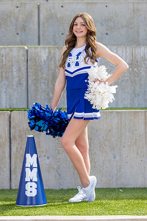 MCPH8548-2