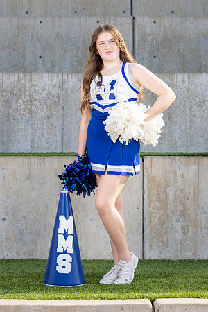 MCPH8652-2