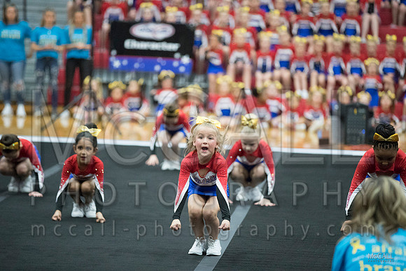 MCPH8950