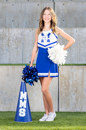 MCPH8643-2