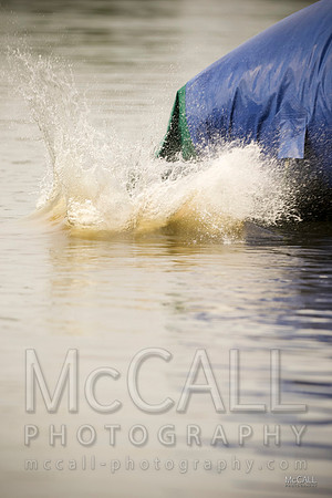 MCPH8382