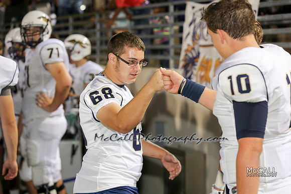 MCPH0251