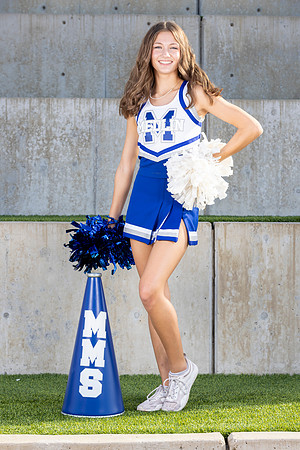 MCPH8691-2