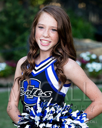 MCPH0266-2