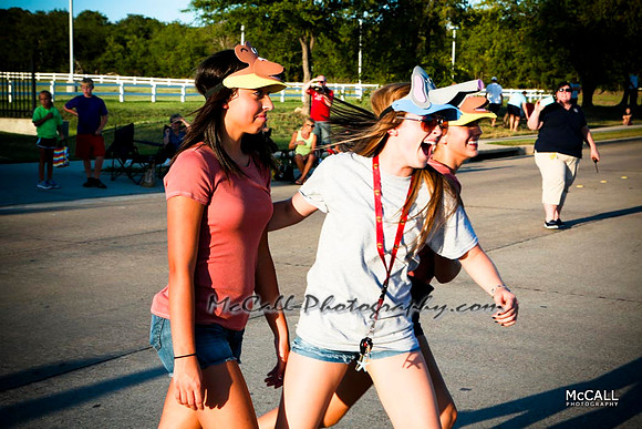MCPH2013