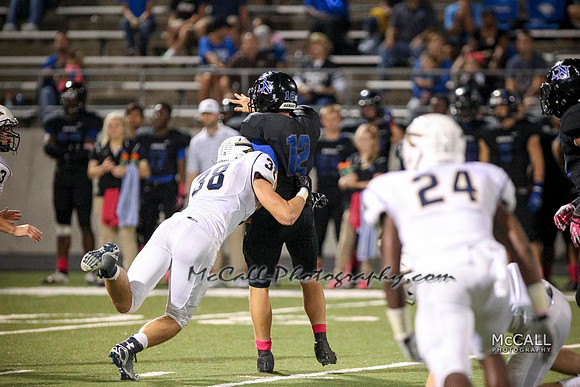 MCPH1963