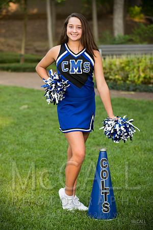 MCPH8673