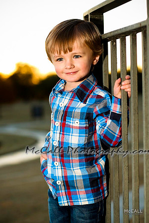 MCPH0029