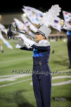 MCPH0228