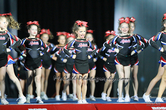 MCPH0293